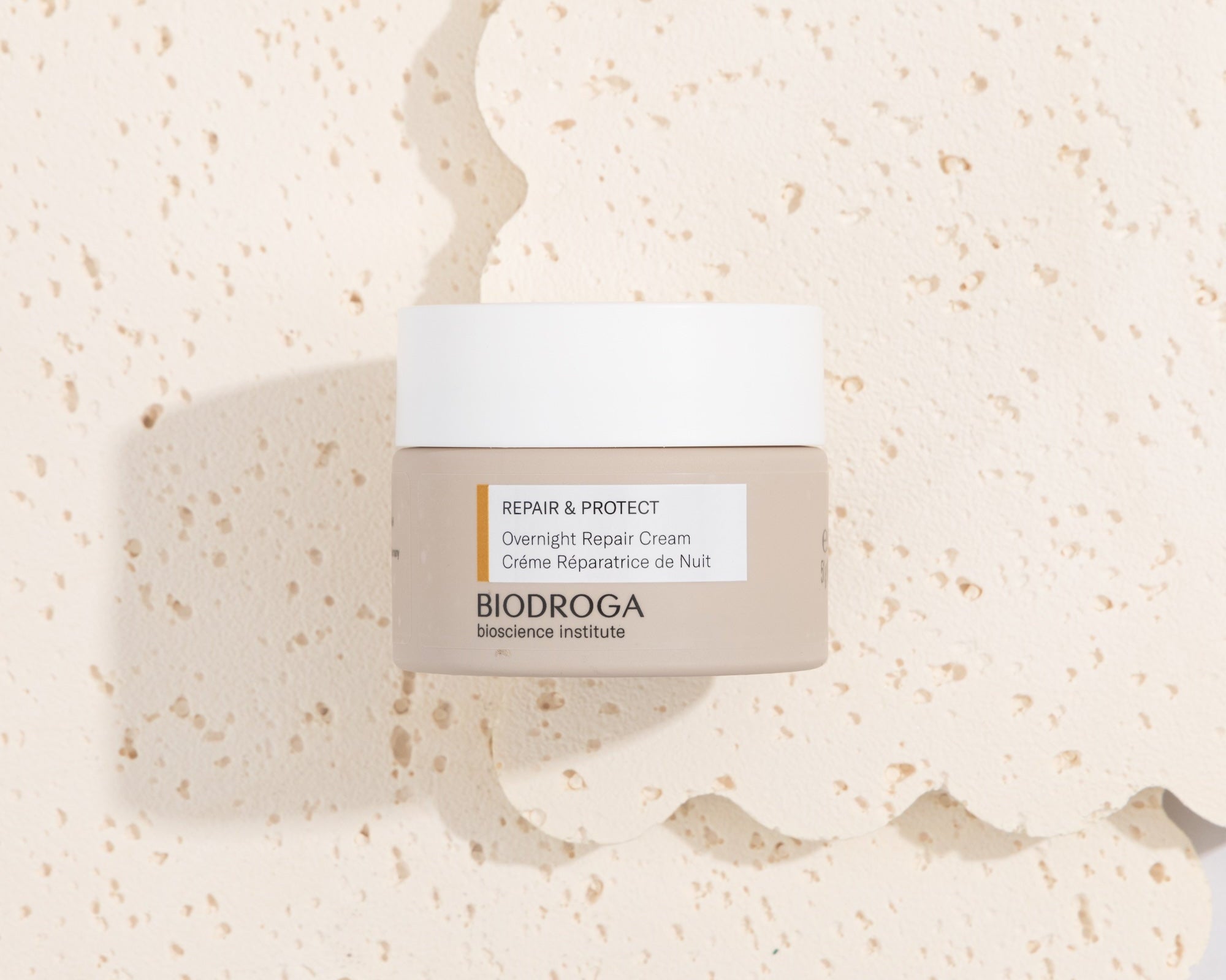 Wake Up to Nourished, Resilient Skin: The Power of Overnight Repair