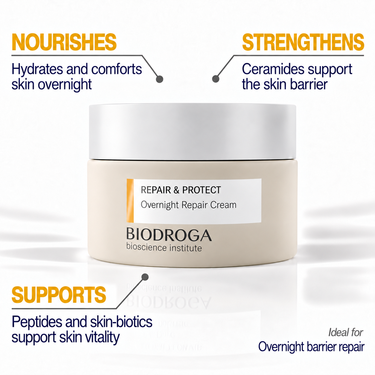 BiodrogaOvernightRepairCream-2.png
